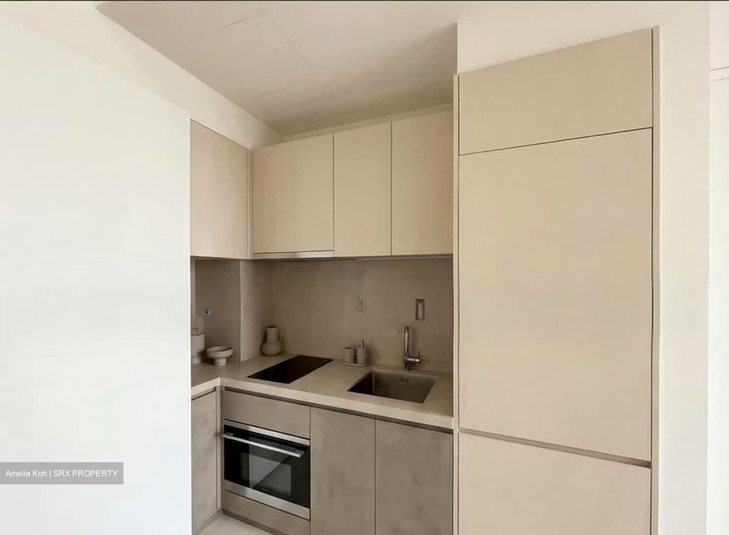 Lincoln Suites (D11), Condominium #532831461